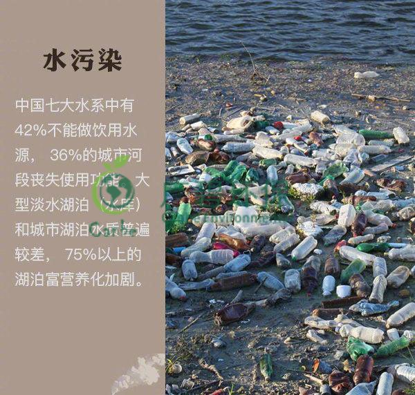 世界地球日 我們能為地球做些什么？(圖2)