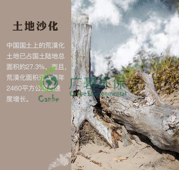 世界地球日 我們能為地球做些什么？(圖4)