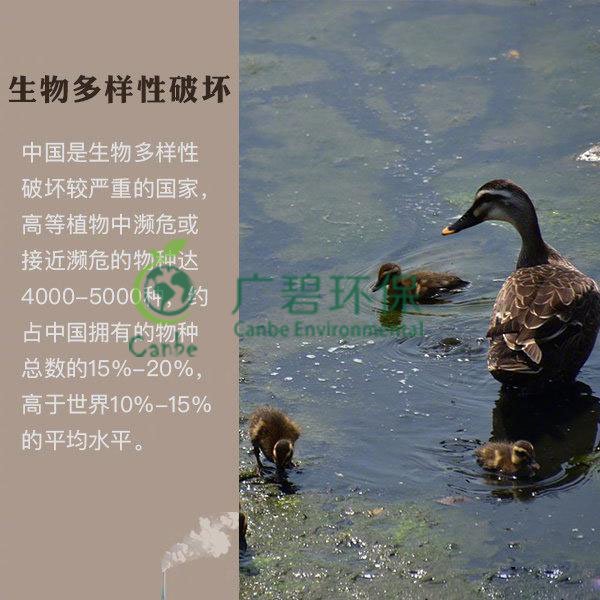 世界地球日 我們能為地球做些什么？(圖6)