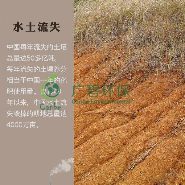 世界地球日 我們能為地球做些什么？(圖7)