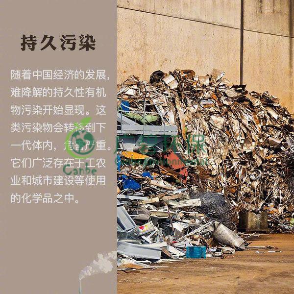 世界地球日 我們能為地球做些什么？(圖8)