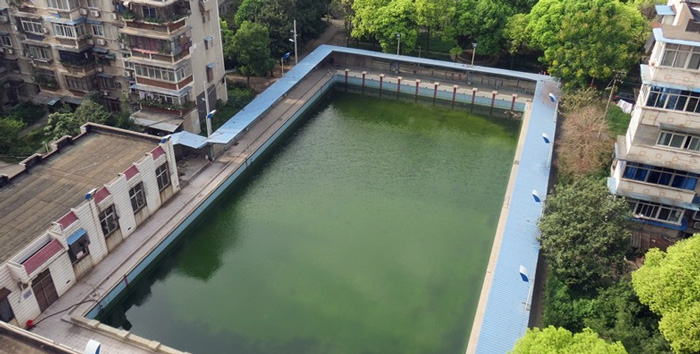 游泳池水變綠是什么原因？游泳池水處理方法