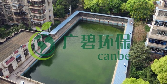 游泳池水變綠是什么原因？游泳池水處理方法(圖1)