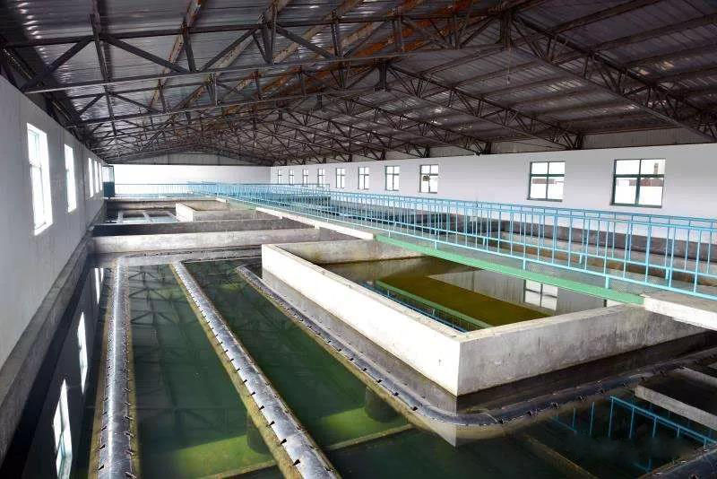 什么是制糖廢水？制糖廢水處理技術