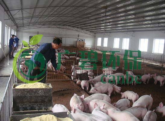 什么是養(yǎng)殖廢水？養(yǎng)殖廢水處理工藝(圖1)