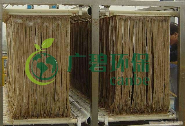 MBR污泥膨脹怎么處理？污泥膨脹的處理方法(圖1)