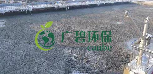 污水氨氮超標(biāo)怎么解決？氨氮超標(biāo)原因與解決方法(圖2)