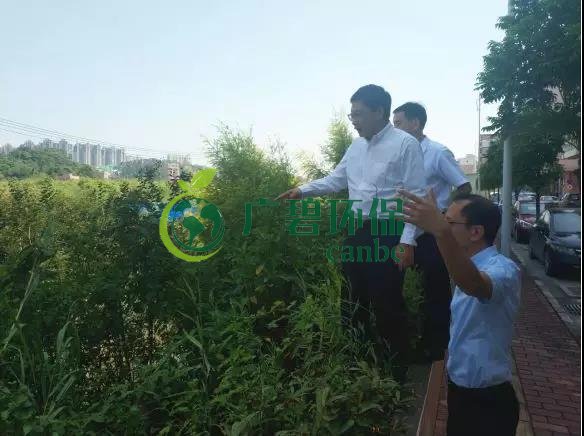 佛山市生態(tài)環(huán)境局長楊永泰視察高明黑臭水體圍拳涌整治工作(圖1) 佛山市生態(tài)環(huán)境局長楊永泰視察高明黑臭水體圍拳涌整治工作(圖1)