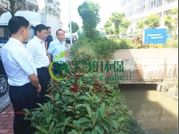 佛山市生態(tài)環(huán)境局長楊永泰視察高明黑臭水體圍拳涌整治工作(圖2) 佛山市生態(tài)環(huán)境局長楊永泰視察高明黑臭水體圍拳涌整治工作(圖2)