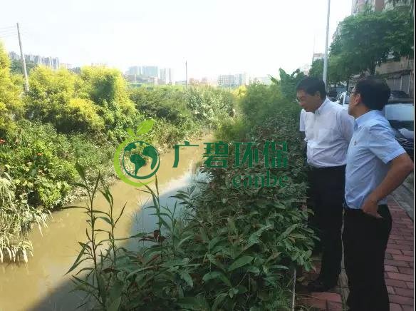 佛山市生態(tài)環(huán)境局長楊永泰視察高明黑臭水體圍拳涌整治工作(圖3) 佛山市生態(tài)環(huán)境局長楊永泰視察高明黑臭水體圍拳涌整治工作(圖3)