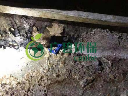 廣州旺旺食品廢水直排，永和河大量魚類死亡(圖4)