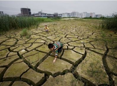 【世界土壤日】《土壤污染防治法》有哪些亮點？