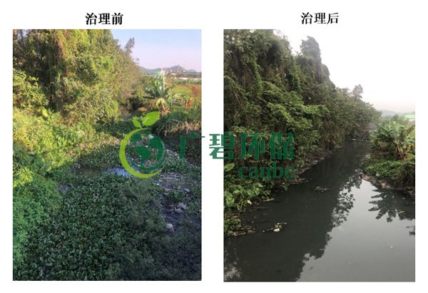 廣碧環(huán)保金陡涌河涌黑臭水體 治理服務項目順利通過驗收(圖7) 廣碧環(huán)保金陡涌河涌黑臭水體 治理服務項目順利通過驗收(圖7)