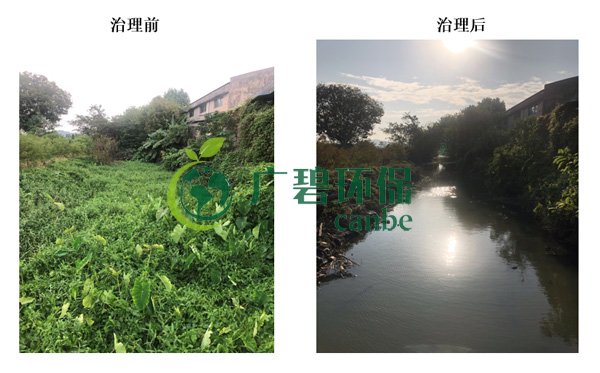 廣碧環(huán)保金陡涌河涌黑臭水體 治理服務項目順利通過驗收(圖8) 廣碧環(huán)保金陡涌河涌黑臭水體 治理服務項目順利通過驗收(圖8)