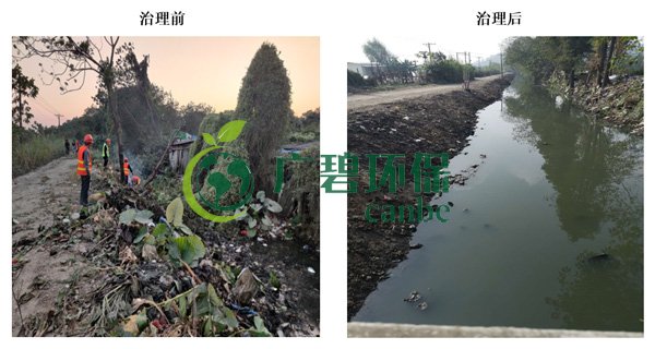 廣碧環(huán)保金陡涌河涌黑臭水體 治理服務項目順利通過驗收(圖2) 廣碧環(huán)保金陡涌河涌黑臭水體 治理服務項目順利通過驗收(圖2)