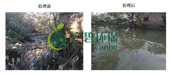 廣碧環(huán)保金陡涌河涌黑臭水體 治理服務項目順利通過驗收(圖3) 廣碧環(huán)保金陡涌河涌黑臭水體 治理服務項目順利通過驗收(圖3)