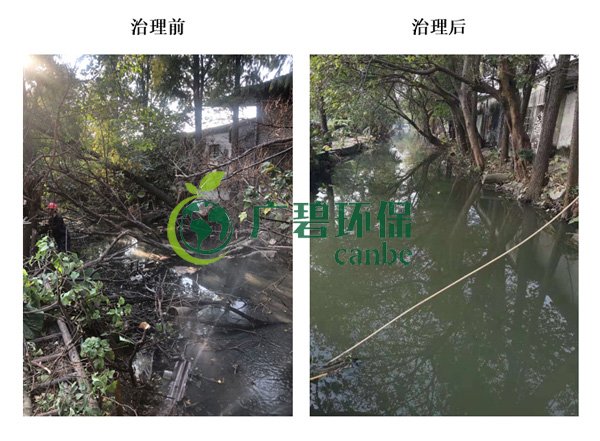 廣碧環(huán)保金陡涌河涌黑臭水體 治理服務項目順利通過驗收(圖4) 廣碧環(huán)保金陡涌河涌黑臭水體 治理服務項目順利通過驗收(圖4)