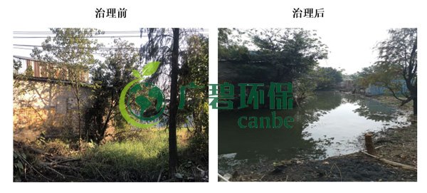 廣碧環(huán)保金陡涌河涌黑臭水體 治理服務項目順利通過驗收(圖5) 廣碧環(huán)保金陡涌河涌黑臭水體 治理服務項目順利通過驗收(圖5)