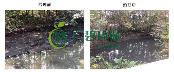廣碧環(huán)保金陡涌河涌黑臭水體 治理服務項目順利通過驗收(圖6) 廣碧環(huán)保金陡涌河涌黑臭水體 治理服務項目順利通過驗收(圖6)