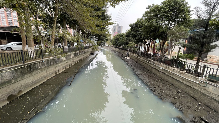 順德大良石洛涌、八坊涌整治見(jiàn)成效(圖3)